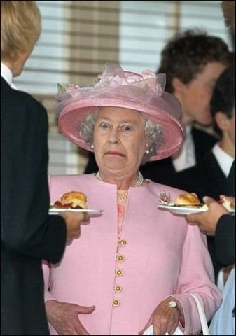 Hamburgers?!