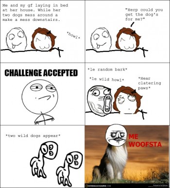 Naughty Dogs