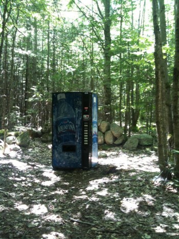 Vending Oasis