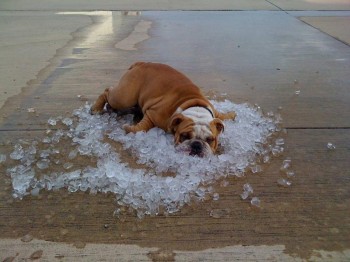Cooling Down