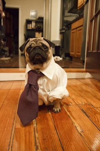 All Business