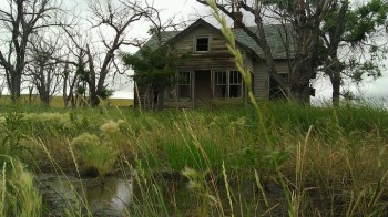 Scary House