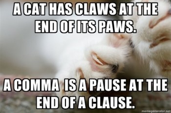 A Cat Has Claws
