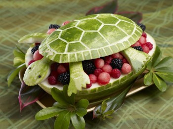 Turtle Fruit