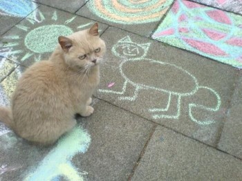 That looks nothing like me