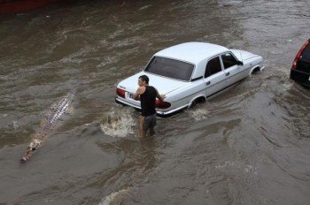 Get In The Car!!