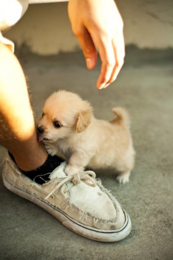 Lick