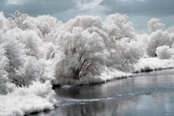 Infrared
