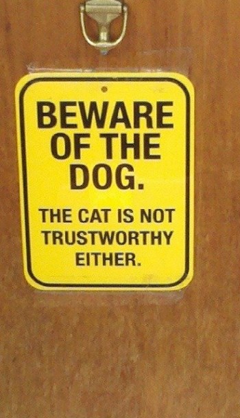 Beware Of Dog