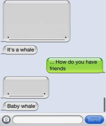 Chat Whales