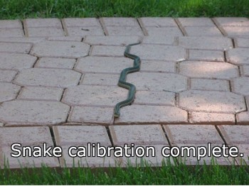 Snake calibration complete