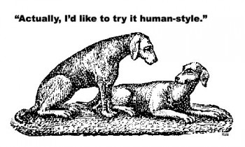 Human-Style