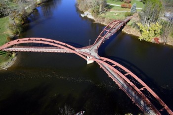 Tridge