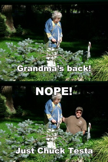 Grandma's Back!