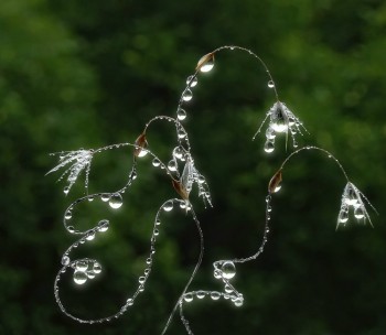 Beautiful droplets