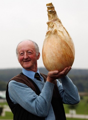 World's biggest onion