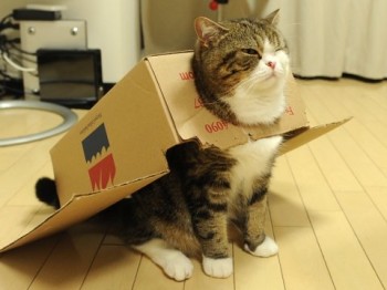 Ready for Takeoff!!