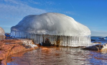 Frozen Jelly Fish?