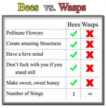 Bees vs. Wasps
