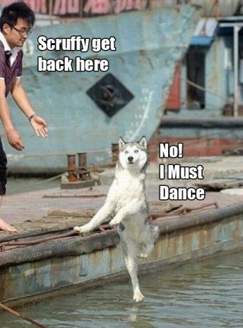 Get back here!