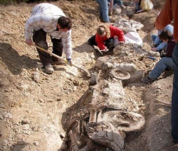 Amazing Archeological Find