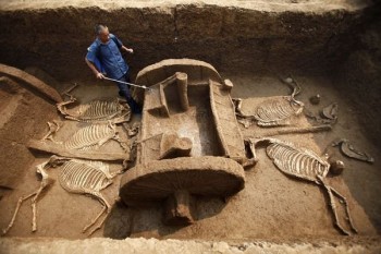Unearthed Chariot with Horses