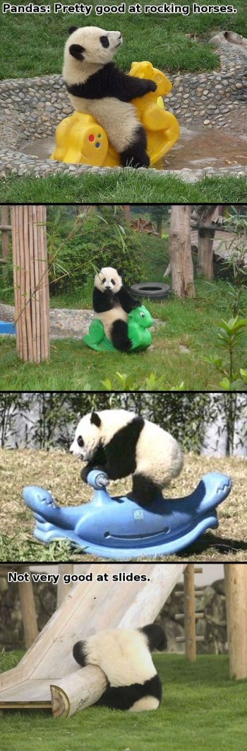 Pandas