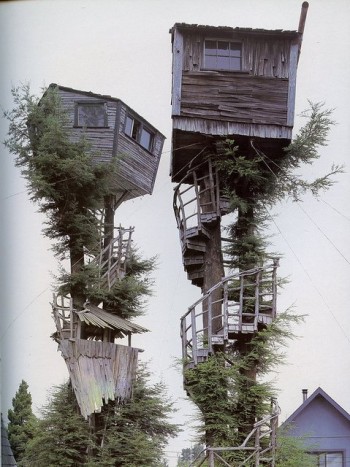 Tree Houses