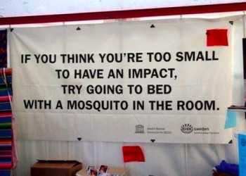 Insightful