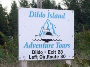 Island Adventures....?