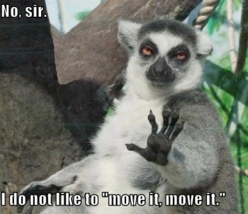 No Sir