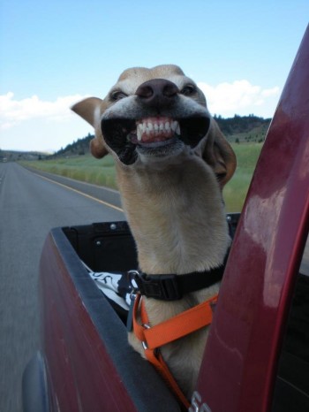 :D