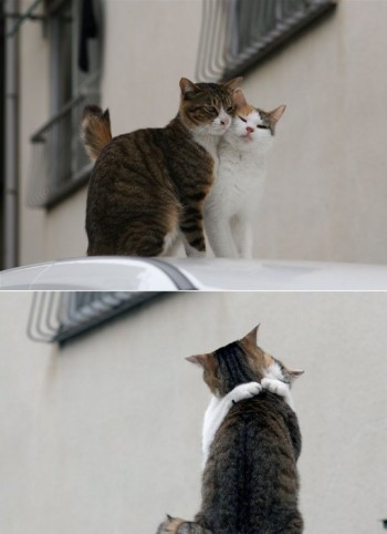 Get A Room!