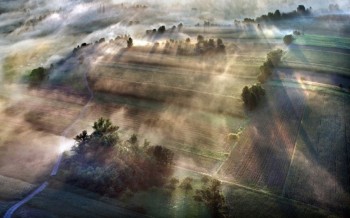 Morning Fog