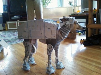 Star Wars Dog