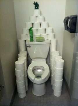 Toilet Paper Throne