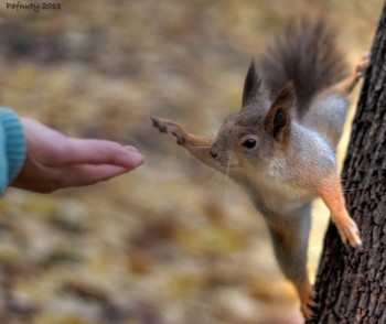 High Five!