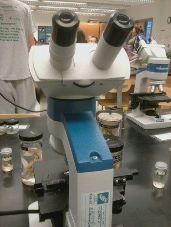 Happy Microscope