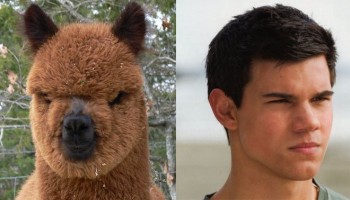 Twins?