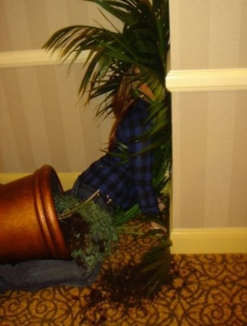 Face-Palm... or Face-Plant?