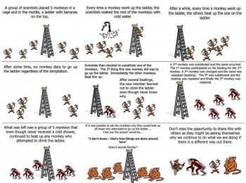 Monkey Business