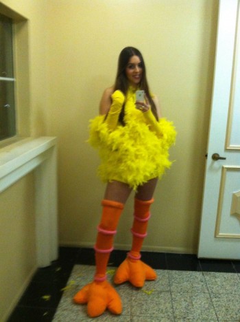 Sexy Big Bird Costume