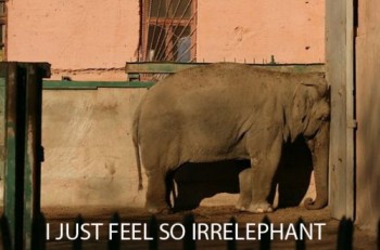 I Just Feel So...