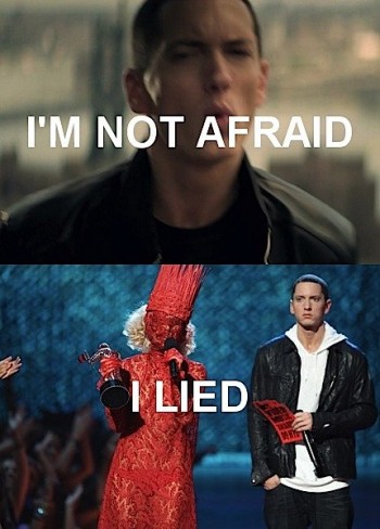 Eminem's Not Afraid
