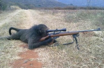 Sniper Monkey