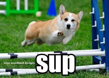 Sup