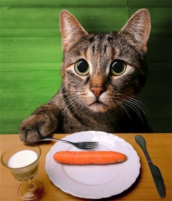 Carrots?