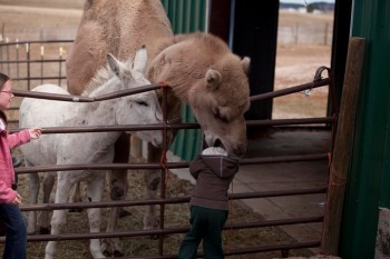Nom