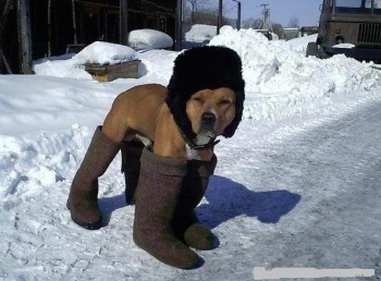 Meanwhile In Russia