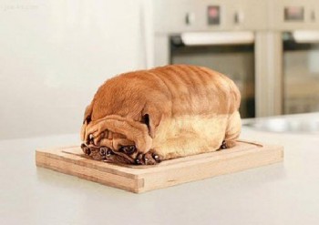 Dog Loaf